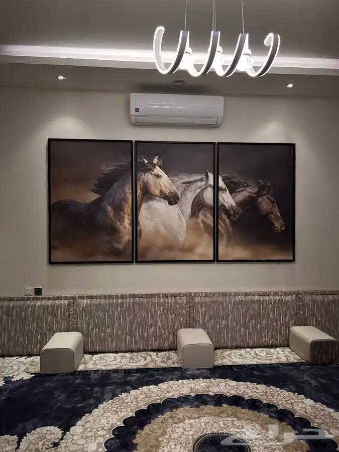 لوحات جدارية كانفس 30