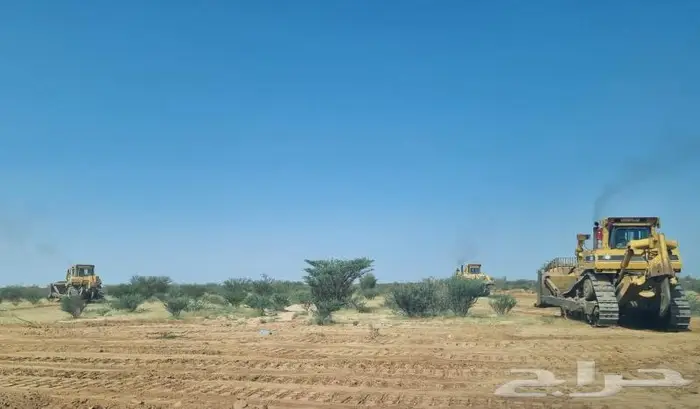 بلدوزر دركتر للايجار d9r 1