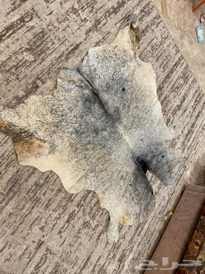 قطع جلد بقر طبيعي ( سجاد ) 27