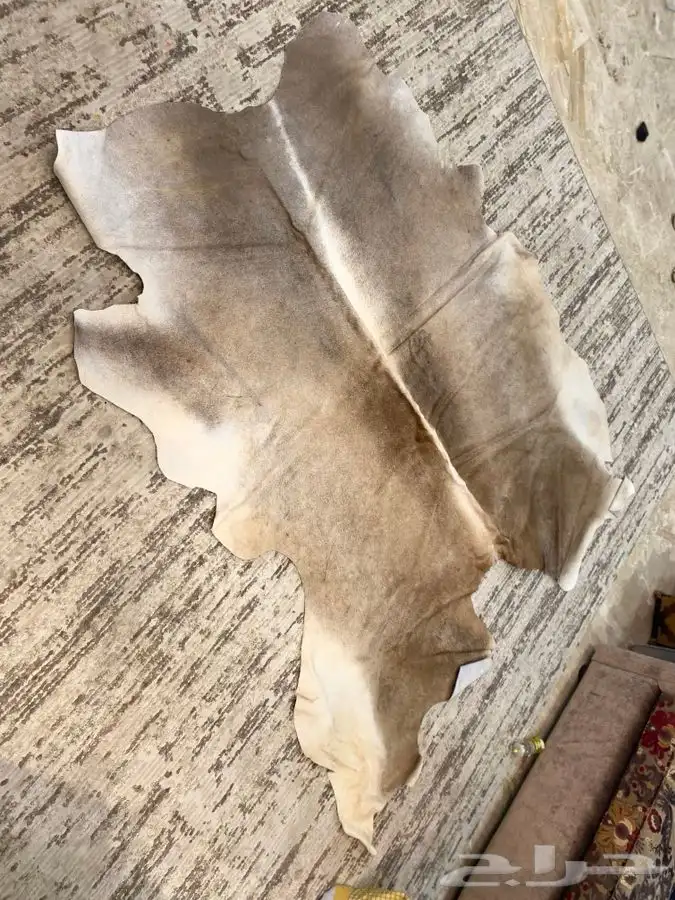 قطع جلد بقر طبيعي ( سجاد ) 20