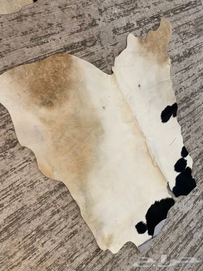 قطع جلد بقر طبيعي ( سجاد ) 45