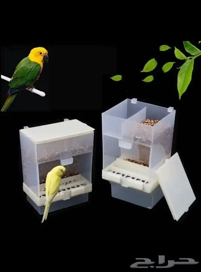 متجر Modi Birds للحيونات الاليفه 27