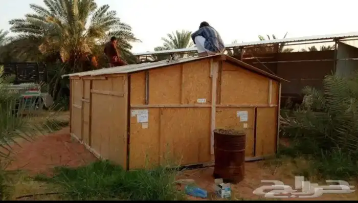 صنادق خشب ومضلات حلال 1