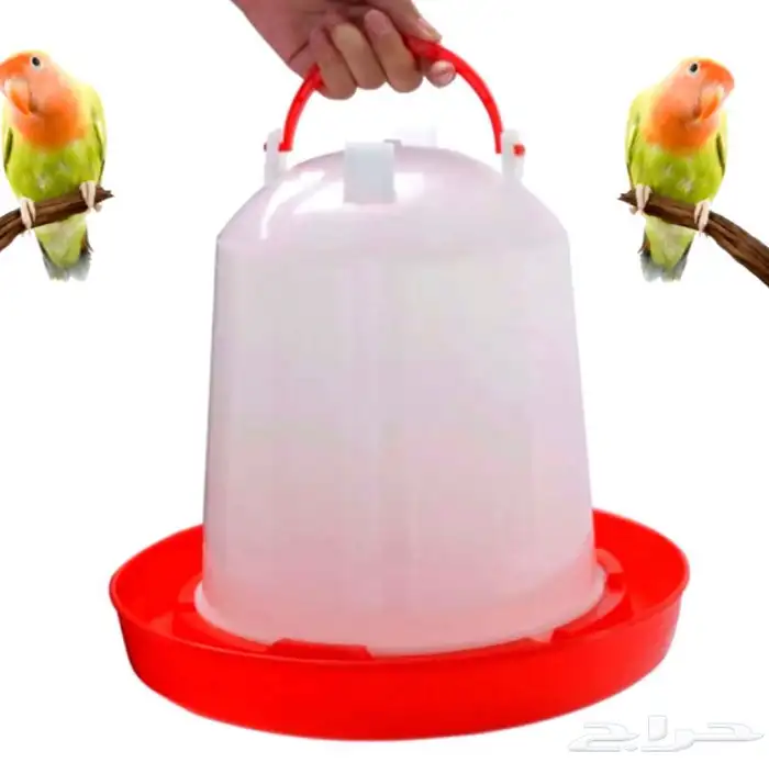 متجر Modi Birds للحيونات الاليفه 45