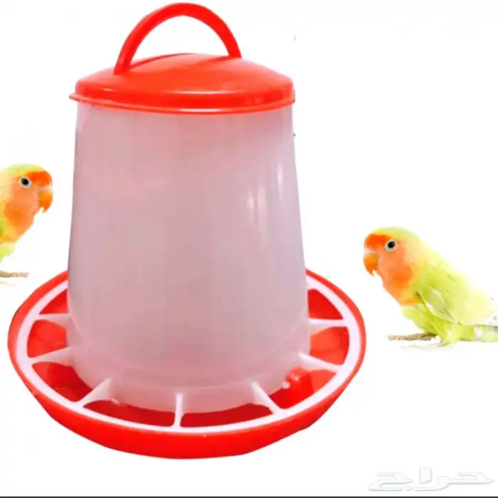 متجر Modi Birds للحيونات الاليفه 44