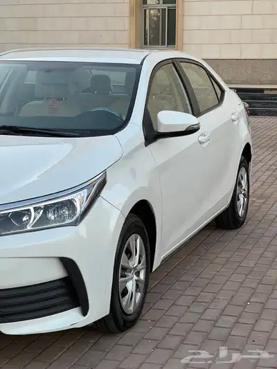 كورلا 2019 تم البيع 8