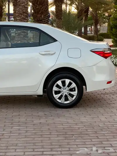 كورلا 2019 تم البيع 7