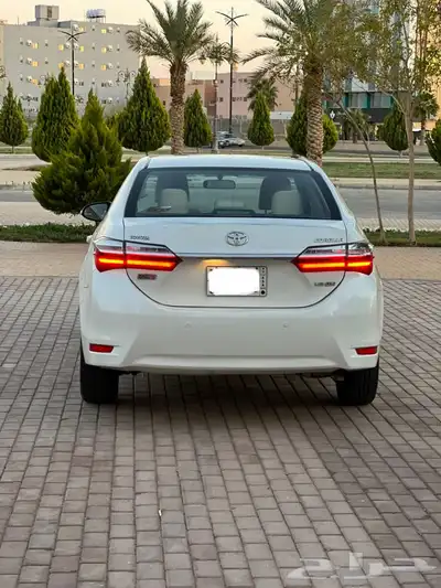 كورلا 2019 تم البيع 1