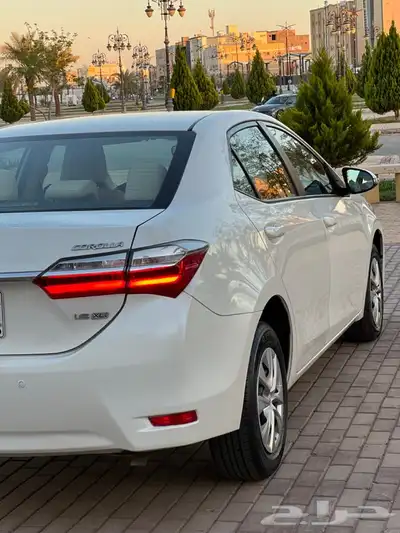 كورلا 2019 تم البيع 13