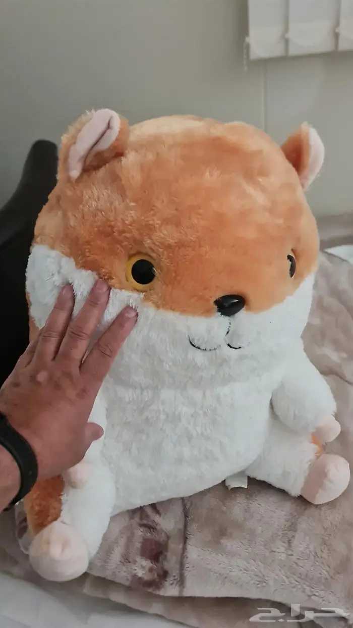 في الباحه العقيق للبيع دمية للبيع 1