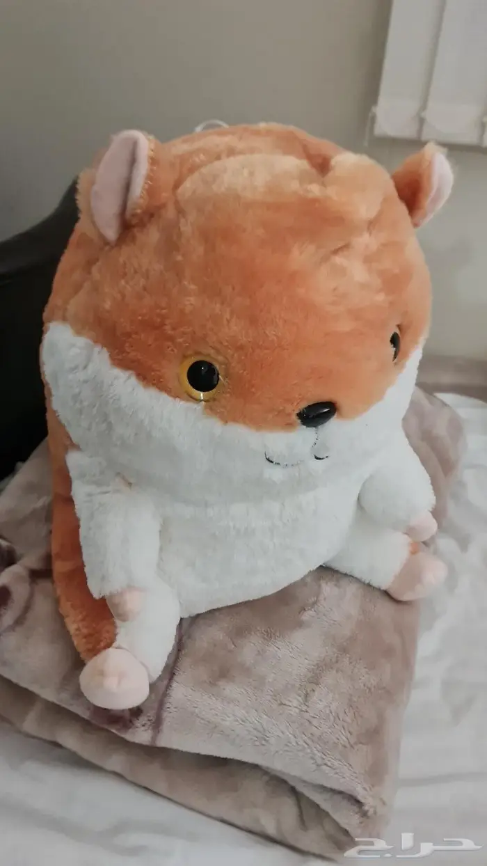 في الباحه العقيق للبيع دمية للبيع 3