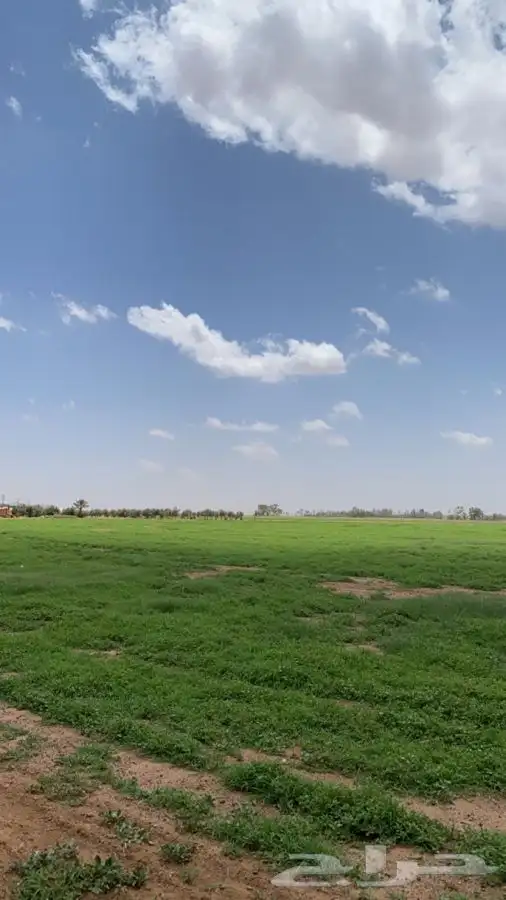 مخيم مزرعة ريف والبيت الريفي يوجد بركة سباحة للإيجار اليومي 8