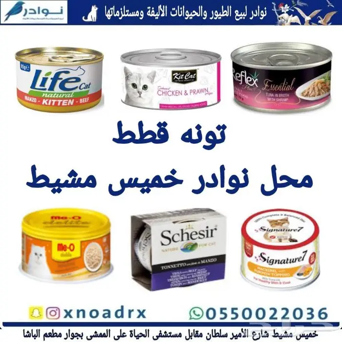 جديد اكل قطط وجميع مستلزماتها نوادر خميس مشيط 6
