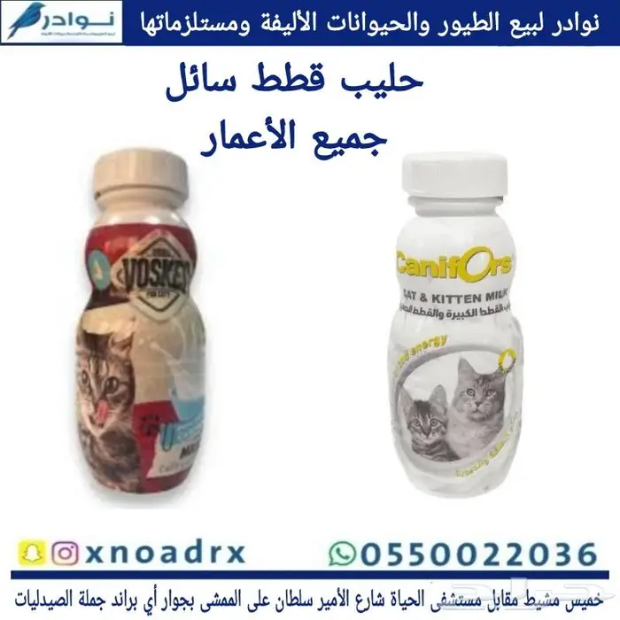 جديد اكل قطط وجميع مستلزماتها نوادر خميس مشيط 2