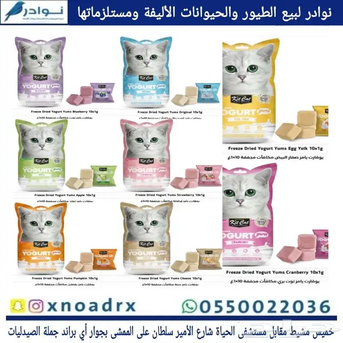جديد اكل قطط وجميع مستلزماتها نوادر خميس مشيط 4