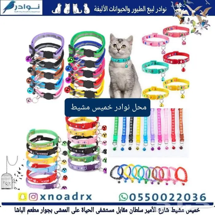 جديد اكل قطط وجميع مستلزماتها نوادر خميس مشيط 19