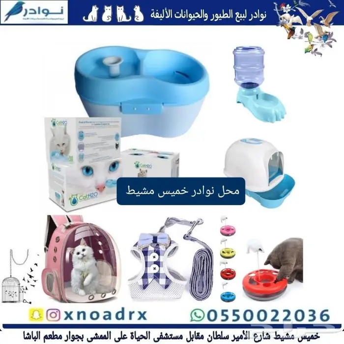 جديد اكل قطط وجميع مستلزماتها نوادر خميس مشيط 20