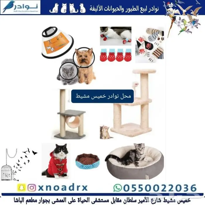 جديد اكل قطط وجميع مستلزماتها نوادر خميس مشيط 8