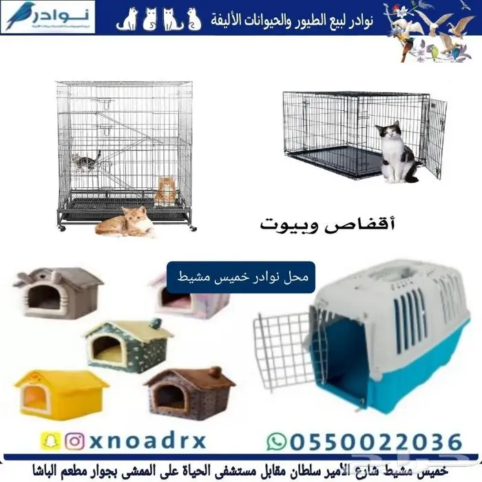 جديد اكل قطط وجميع مستلزماتها نوادر خميس مشيط 9