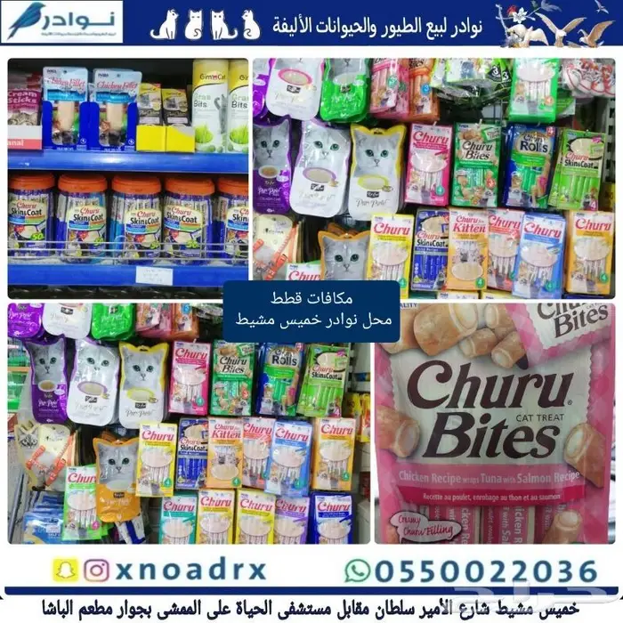 جديد اكل قطط وجميع مستلزماتها نوادر خميس مشيط 10