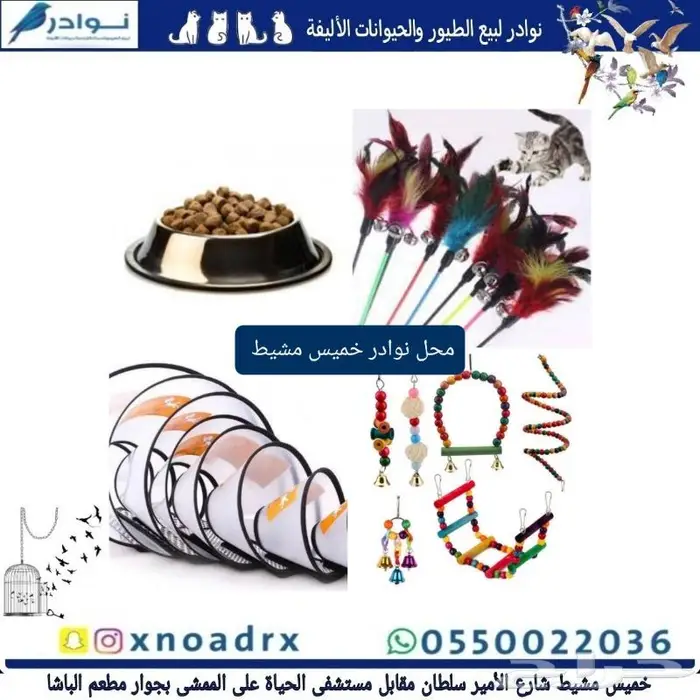 جديد اكل قطط وجميع مستلزماتها نوادر خميس مشيط 12