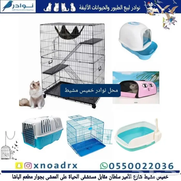 جديد اكل قطط وجميع مستلزماتها نوادر خميس مشيط 15