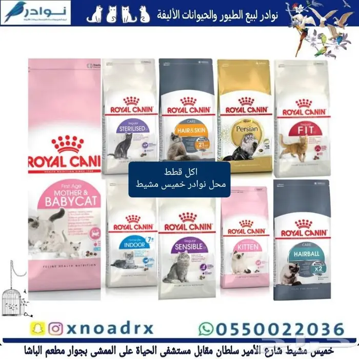 جديد اكل قطط وجميع مستلزماتها نوادر خميس مشيط 14