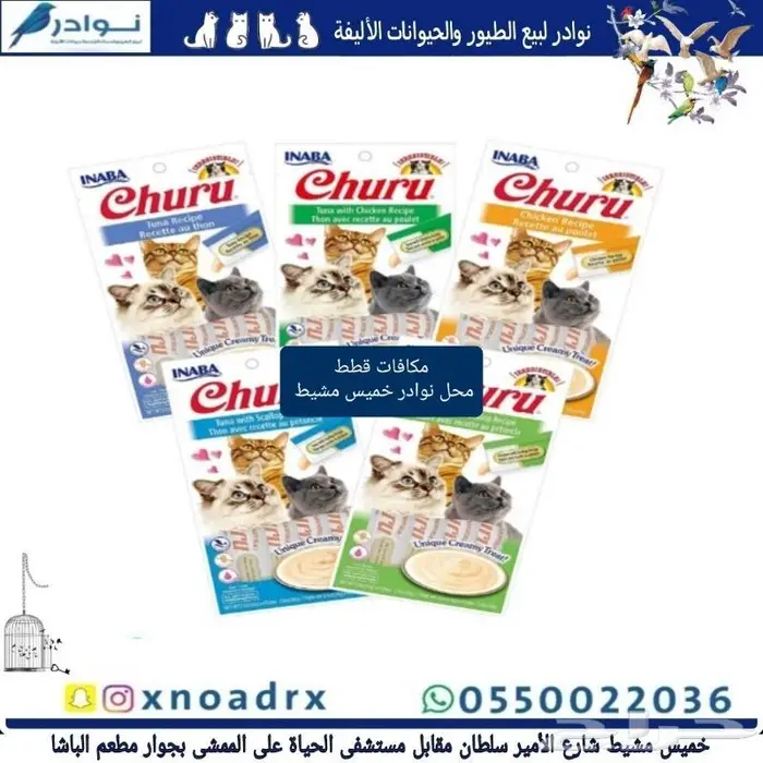 جديد اكل قطط وجميع مستلزماتها نوادر خميس مشيط 16