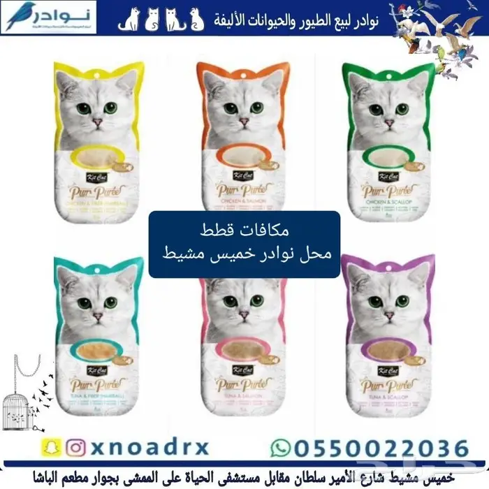 جديد اكل قطط وجميع مستلزماتها نوادر خميس مشيط 17