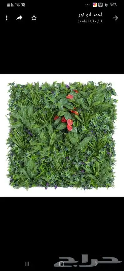 عشب جداري عرض خاص 13