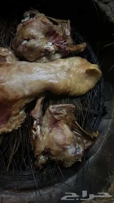 حنيذ بالمرخ طليان وتيوس 1