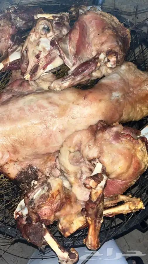 حنيذ بالمرخ طليان وتيوس 4