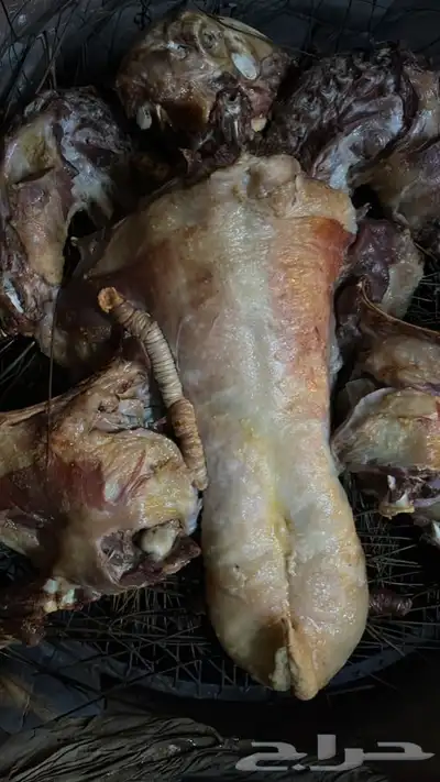 حنيذ بالمرخ طليان وتيوس 3