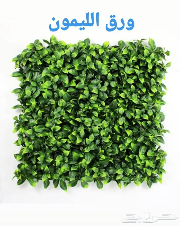 عشب جداري عرض خاص 2