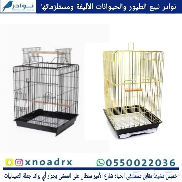 جديد مستلزمات طيور وقطط وهامستر وسلاحف نوادر 48