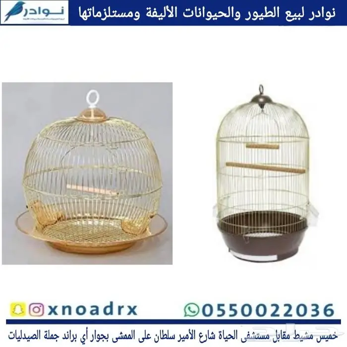 جديد مستلزمات طيور وقطط وهامستر وسلاحف نوادر 49