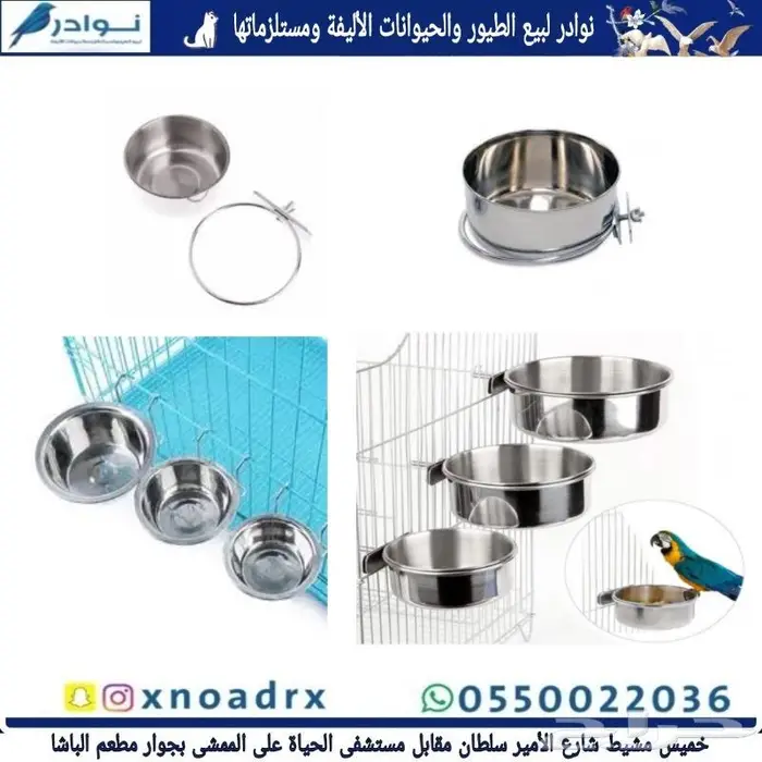 جديد مستلزمات طيور وقطط وهامستر وسلاحف نوادر 52