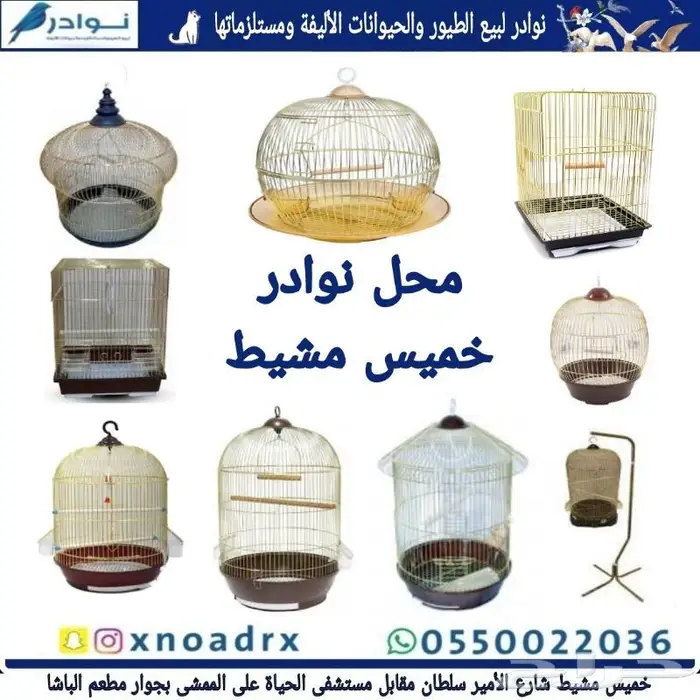 جديد مستلزمات طيور وقطط وهامستر وسلاحف نوادر 65