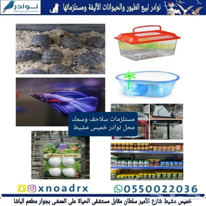 جديد مستلزمات طيور وقطط وهامستر وسلاحف نوادر 70