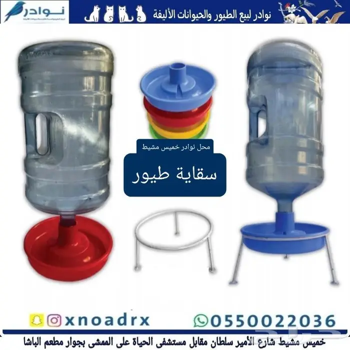 جديد مستلزمات طيور وقطط وهامستر وسلاحف نوادر 71