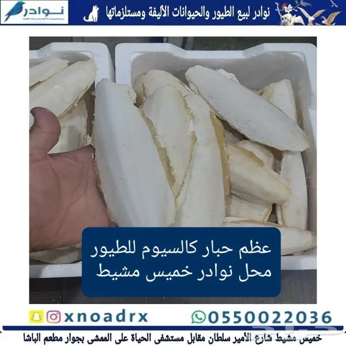 مستلزمات طيور زينة نوادر 36
