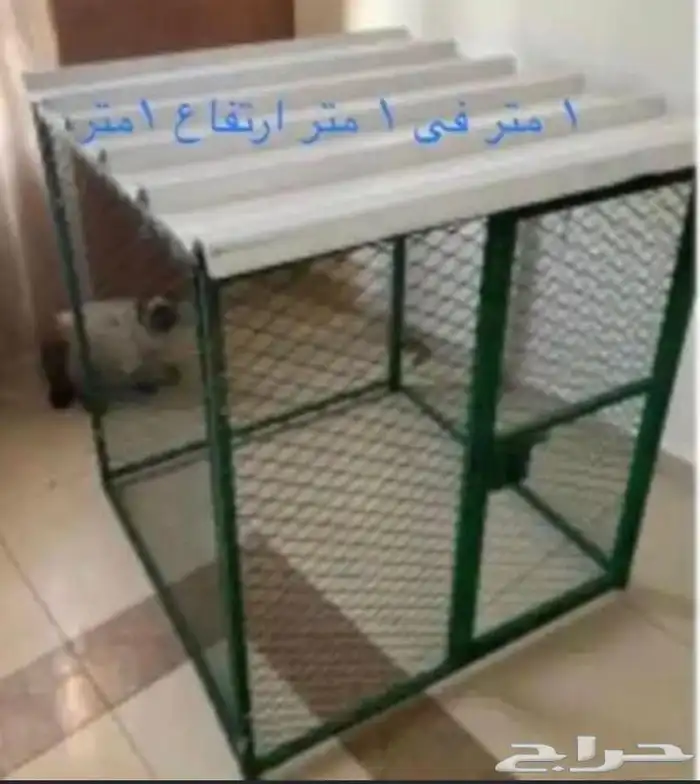 قفص قطط طيور حمام دجاج بادجي روز كروان كناري 2