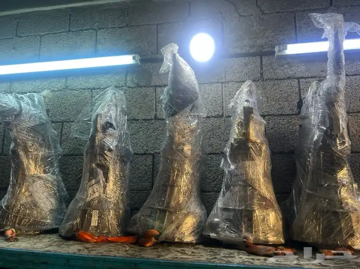 جير ايسوزو دينا 5 غيار و 7 غيار مستورد شد بلد 4