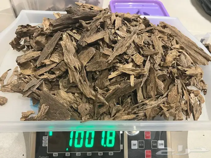 عود طبيعي مالينو سوبر بسعر صيده (5999 ) فقط 0