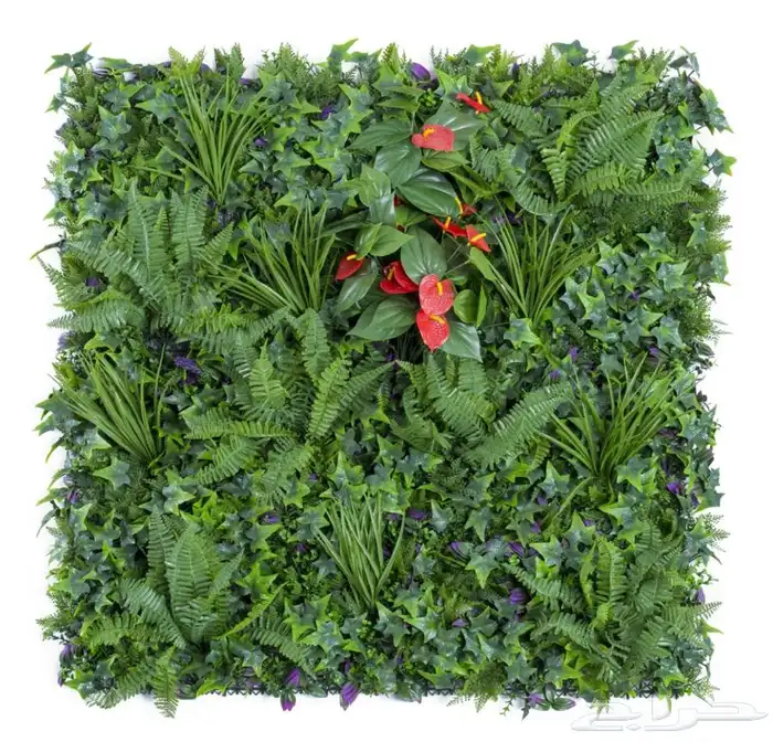 عشب جداري عرض خاص 9