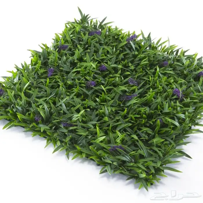 عشب جداري عرض خاص 4