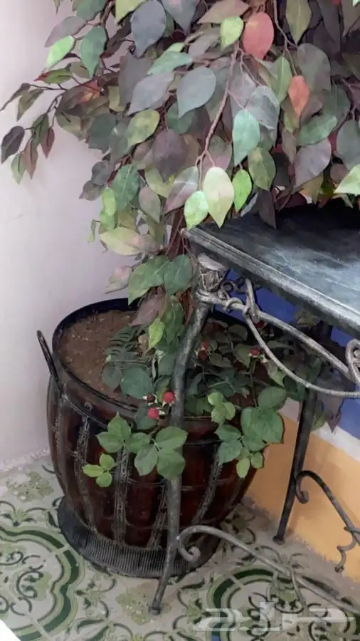 شجره صناعيه 3