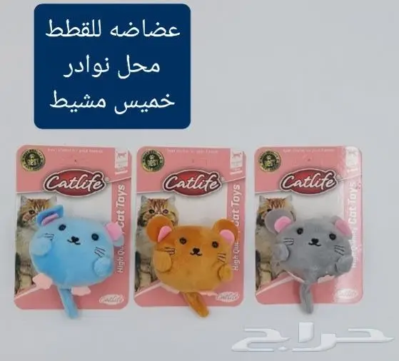 اكل ورمل قطط ومستلزماتها نوادر 8