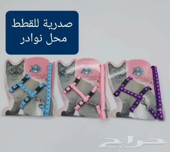 اكل ورمل قطط ومستلزماتها نوادر 35