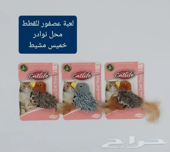 اكل ورمل قطط ومستلزماتها نوادر 6